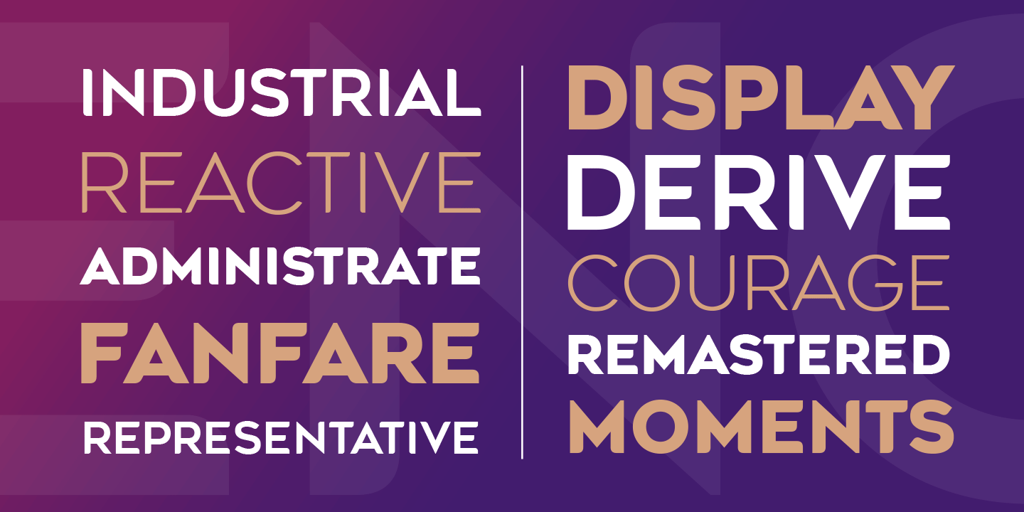 Agenor Bold Font preview